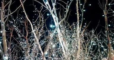 圣诞节和情人节树白色和银色闪耀的光，慢动作相机，概念